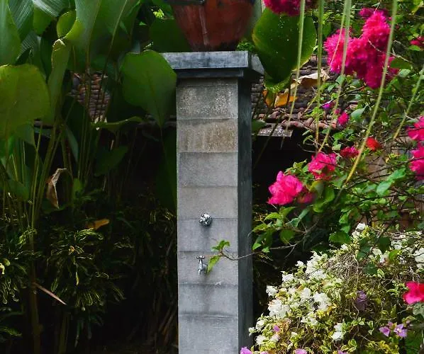 Kelapa